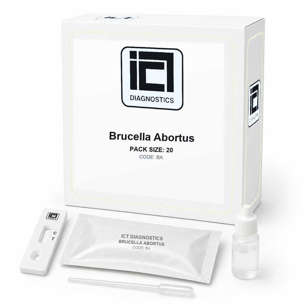 Brucella Abortus