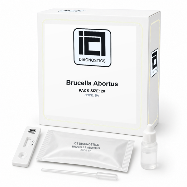 Brucella Abortus